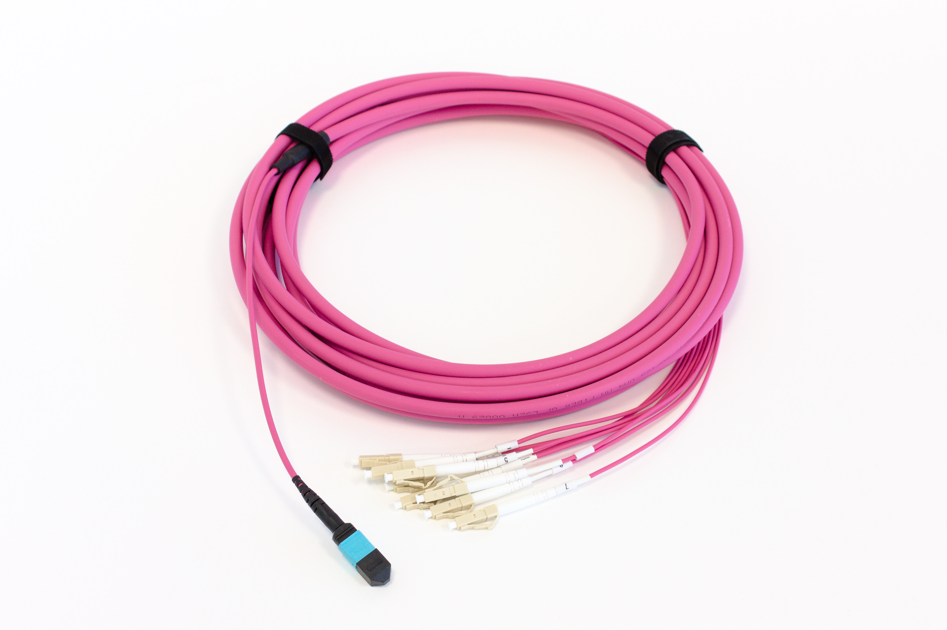 BCC Solutions MTP(F) - LC OM4 50/125um Fanout 8-core, 5m