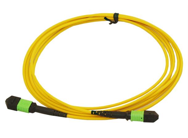 BCC Solutions MTP/APC(F)-MTP/APC(F) SM 12kuitua 30m, C