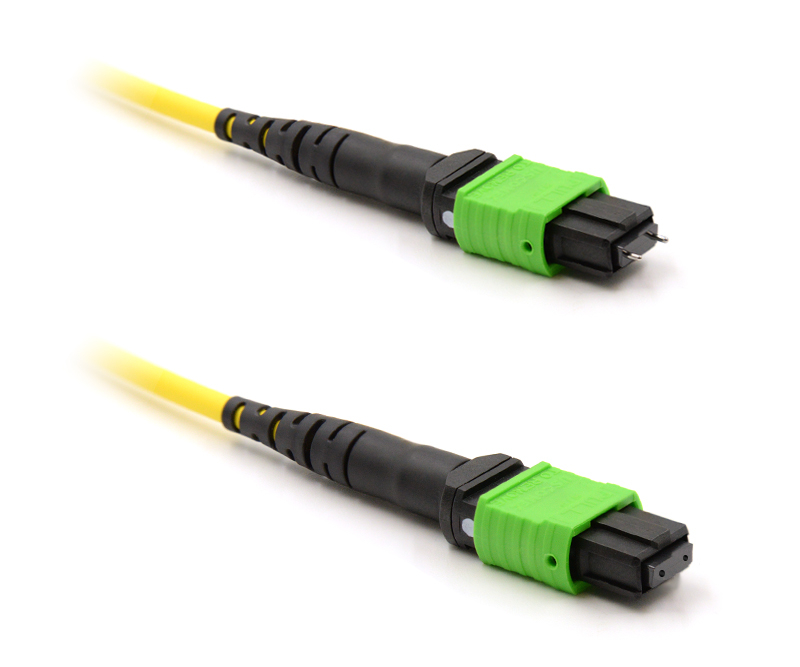 BCC Solutions MTP/APC Elite(F)-MTP/APC Elite(M) SM 12-kuitua 2m LSZH, A